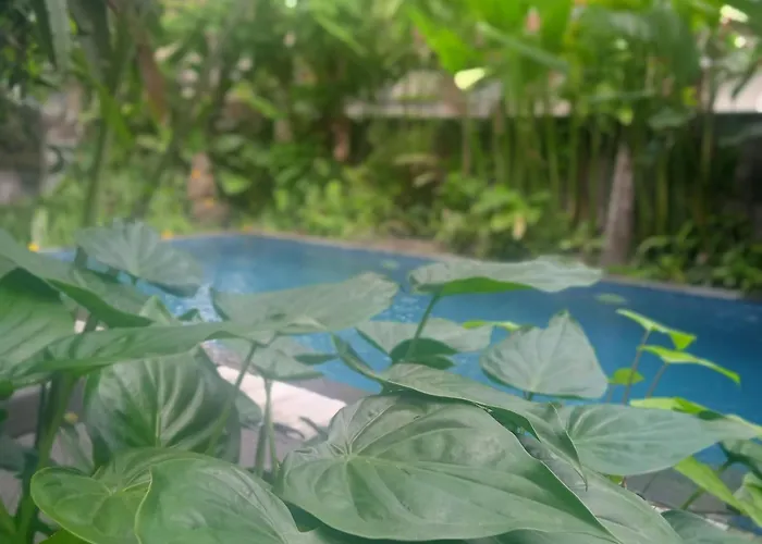Tanah Semujan Affittacamere Ubud